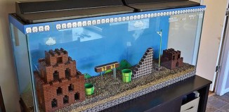 Aquarium Mario Bros