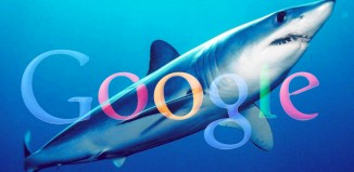 requin-google