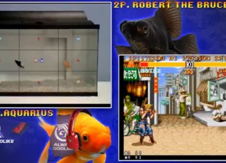 poisson Street Fighter 2